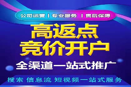 竞价SEM托管案例：广告投放的优化之道